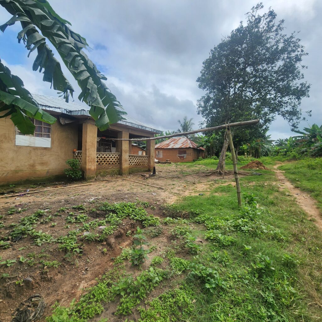 new property