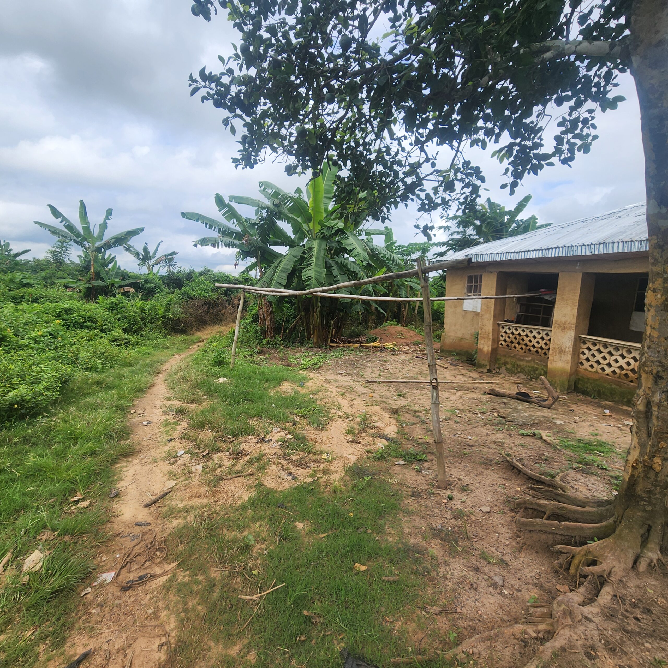new property